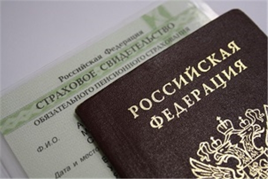 Какие документы нужны для оплаты детских садов и других бюджетных учреждений